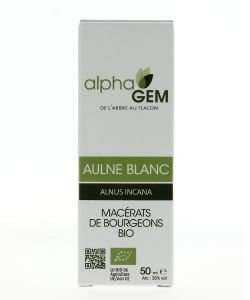 Aulne Blanc (Alnus incana) bourgeon unitaire BIO, 50 ml